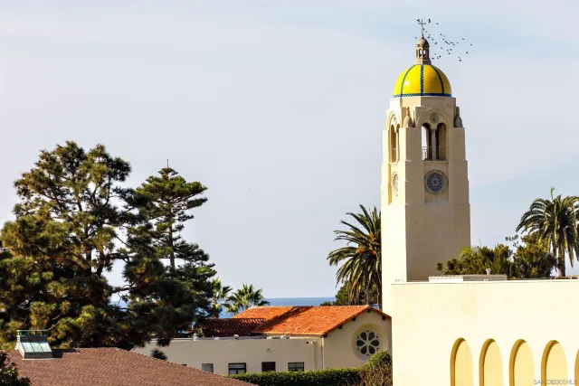 a view of swimming pool with a potted plants
