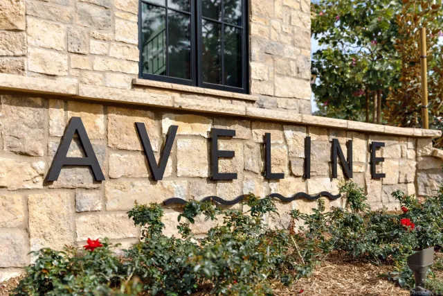 a bunch of flowers outside the house