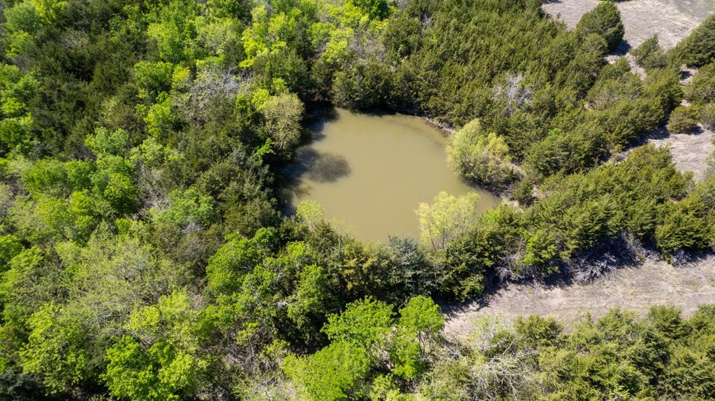 5020 County Road 5020 Road, Unit OF Blue Ridge, TX 75424 - Photo 3 of 17