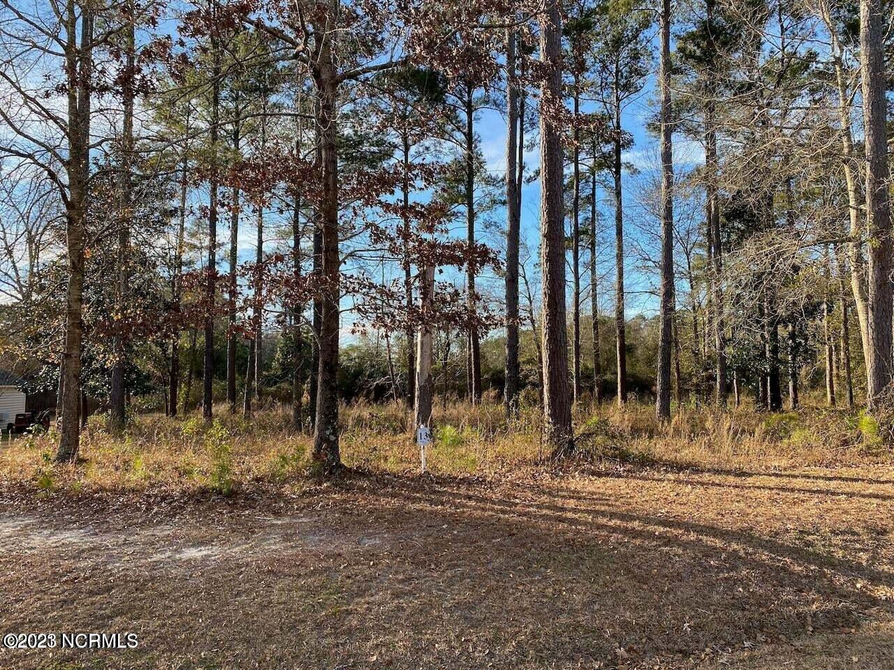 206 Sanderling Dr  