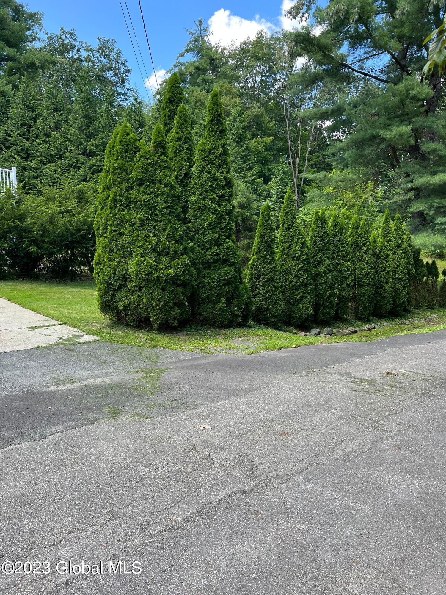 107 Old Forge Road Schodack, NY 12123 - Photo 29 of 33 IMG_2235