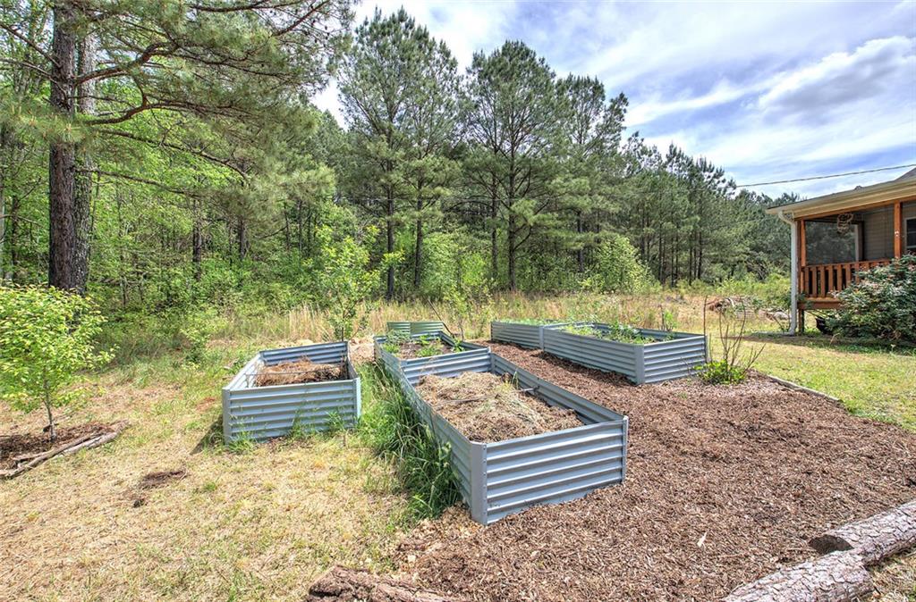 678 Wray Mine Road Buchanan, GA 30113 - Photo 30 of 49