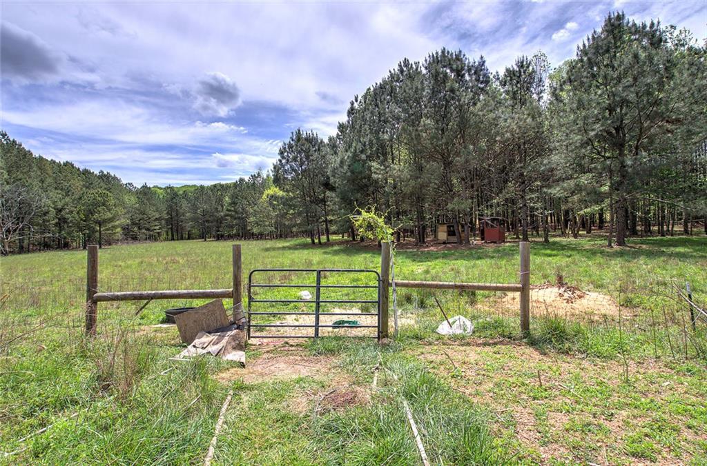 678 Wray Mine Road Buchanan, GA 30113 - Photo 33 of 49