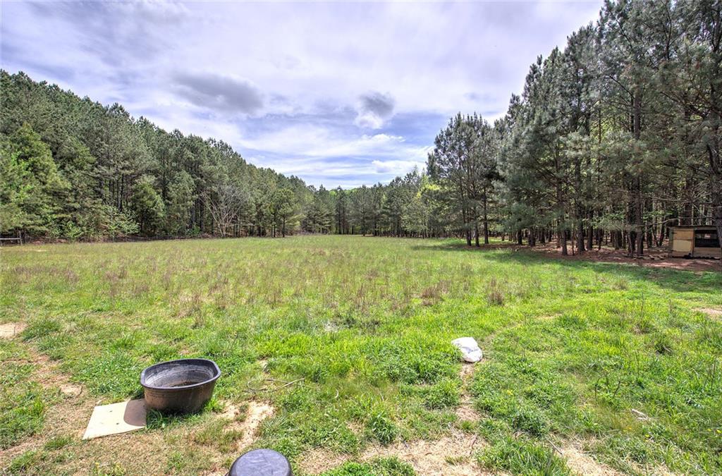 678 Wray Mine Road Buchanan, GA 30113 - Photo 34 of 49