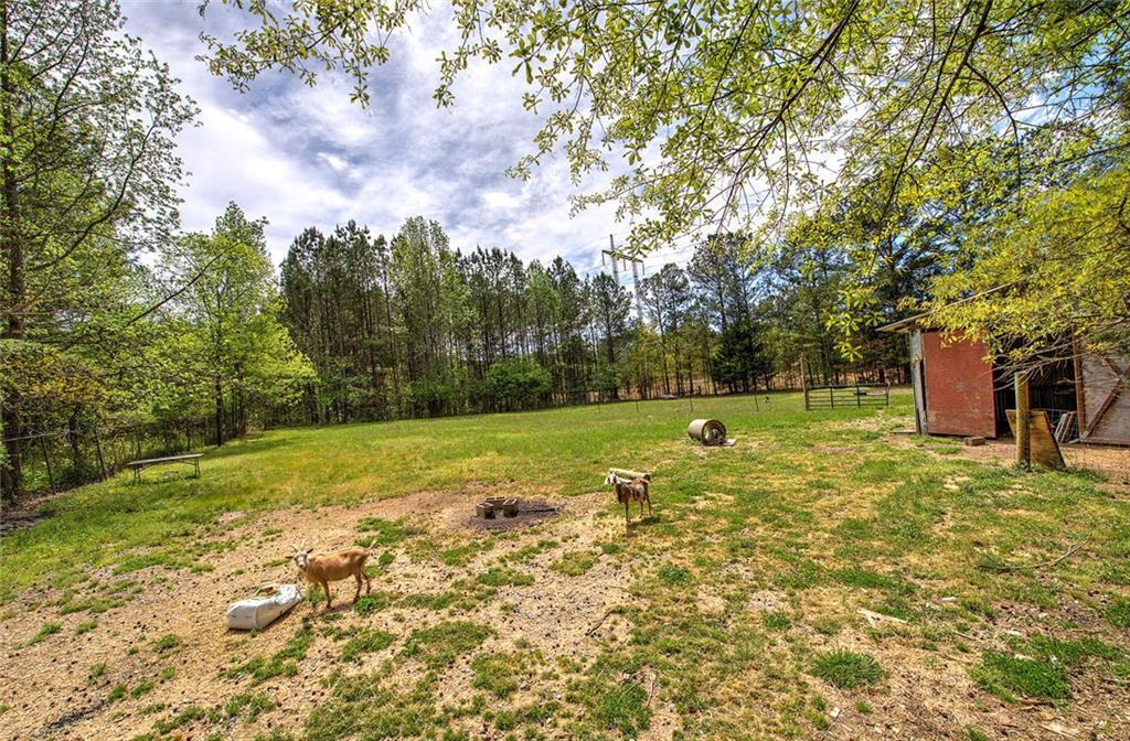 678 Wray Mine Road Buchanan, GA 30113 - Photo 35 of 49