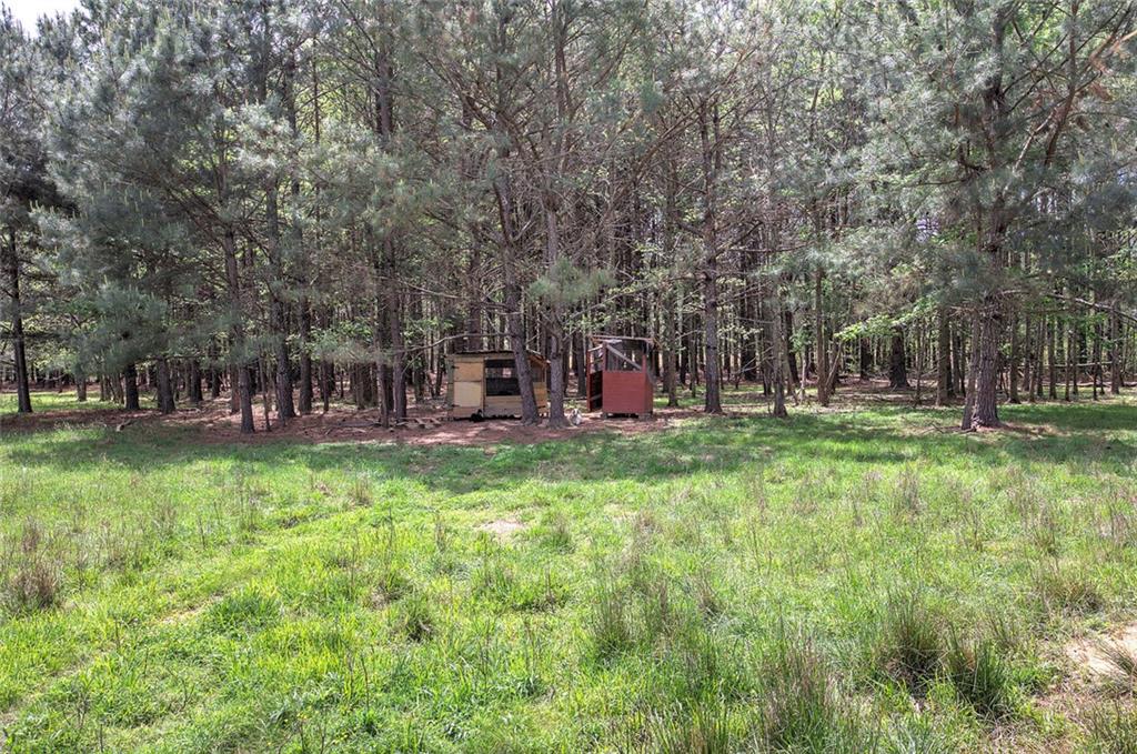 678 Wray Mine Road Buchanan, GA 30113 - Photo 36 of 49