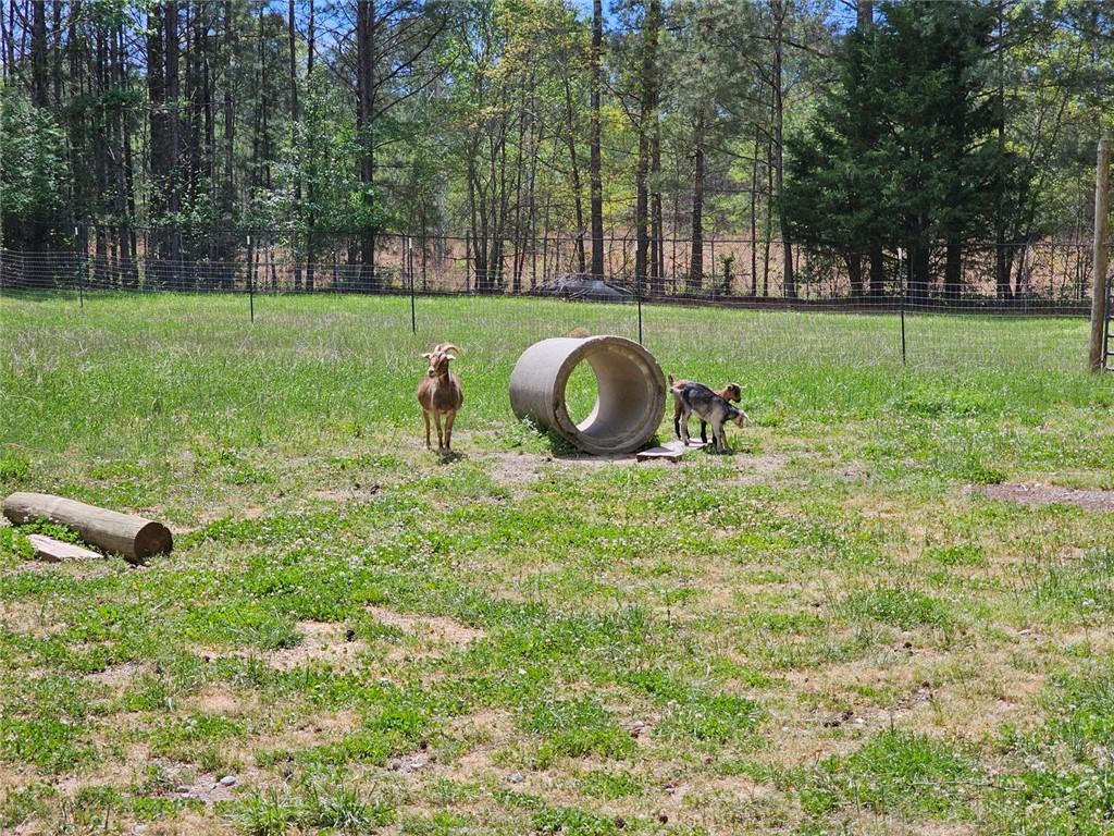 678 Wray Mine Road Buchanan, GA 30113 - Photo 41 of 49