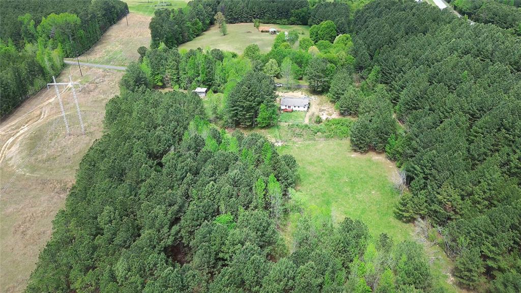 678 Wray Mine Road Buchanan, GA 30113 - Photo 5 of 49