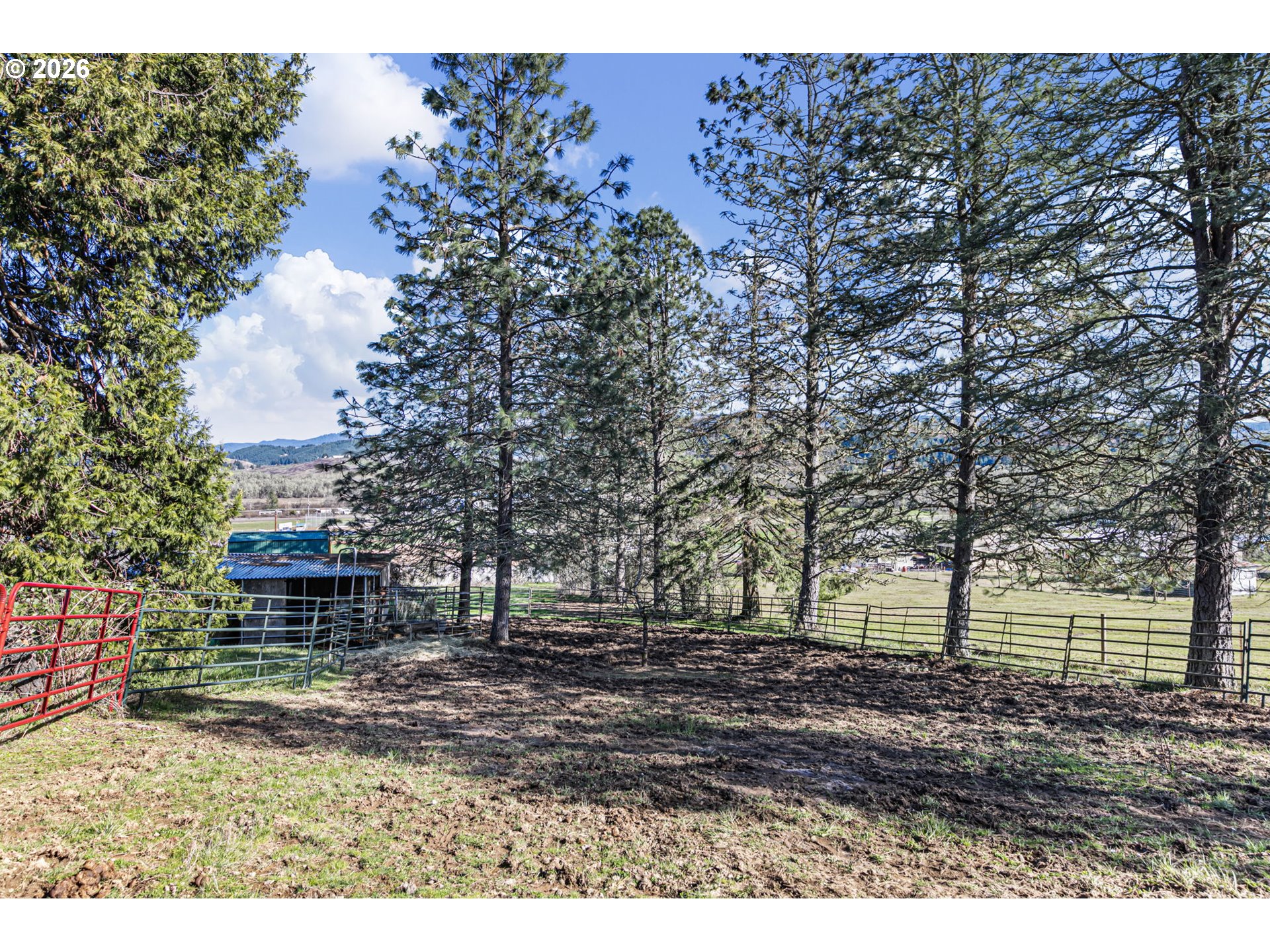 749 Douglas Street Yoncalla, OR 97499 - Photo 11 of 47