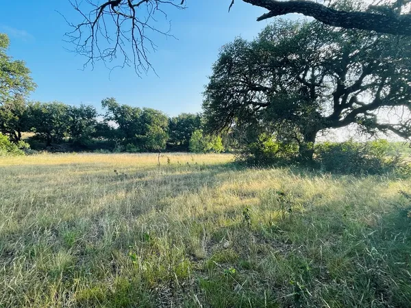 a view of yard with green space