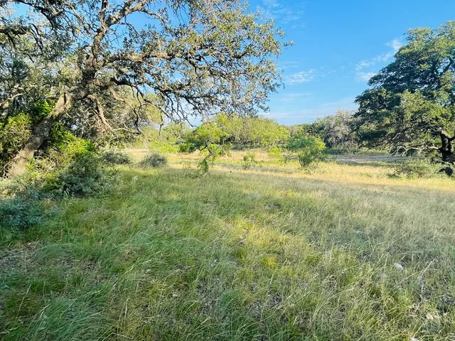 a view of yard with green space