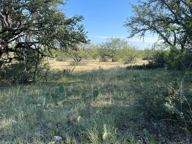 a view of a lush green space