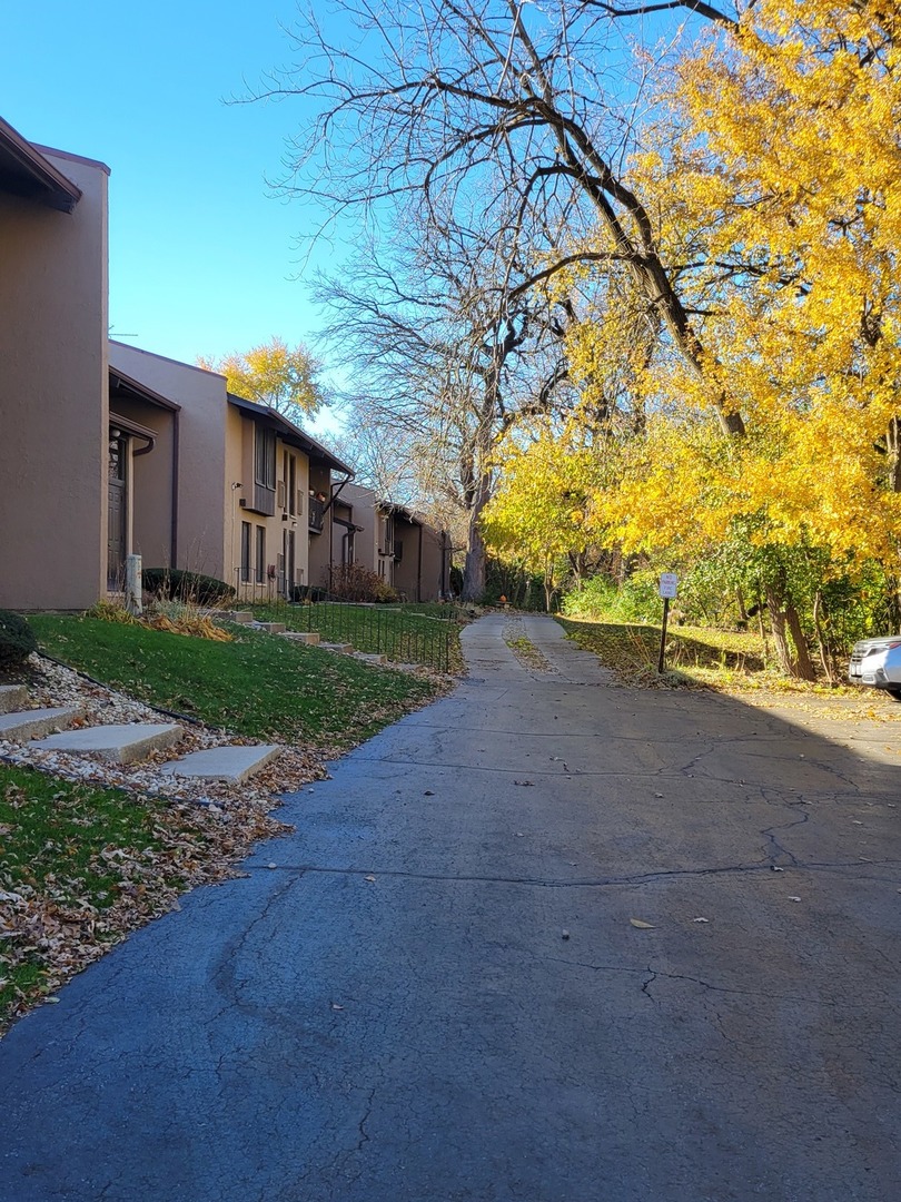 1100 Holbrook Road, Unit H Homewood, IL 60430 - Photo 13 of 13 a view of a yard with plants and large trees
