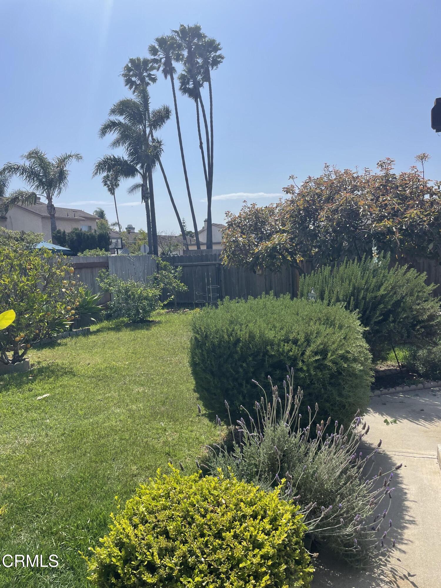 1711 Masthead Drive Oxnard, CA 93035 - Photo 17 of 28 a view of a garden with a building in the background