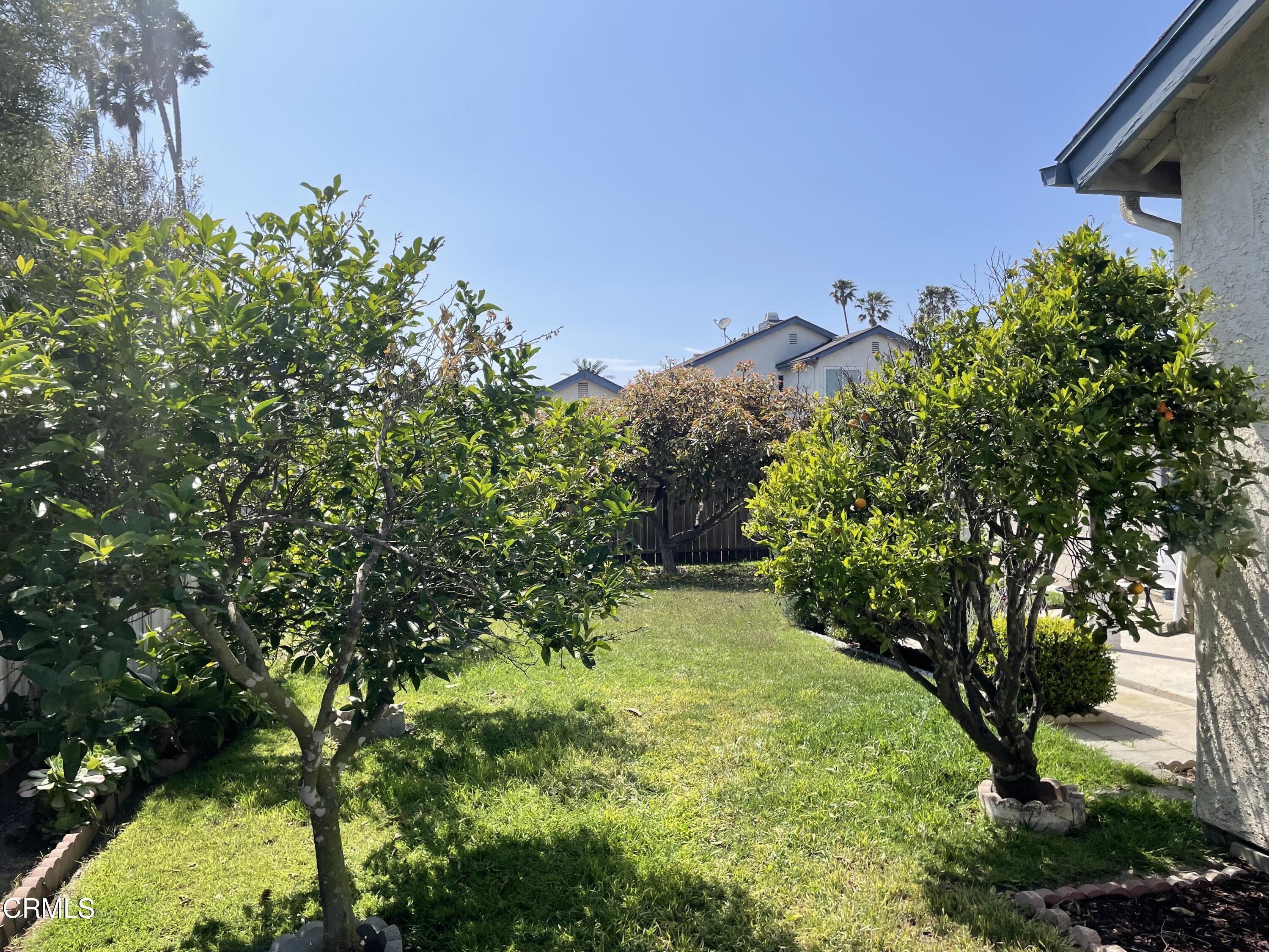 1711 Masthead Drive Oxnard, CA 93035 - Photo 18 of 28 a view of a yard