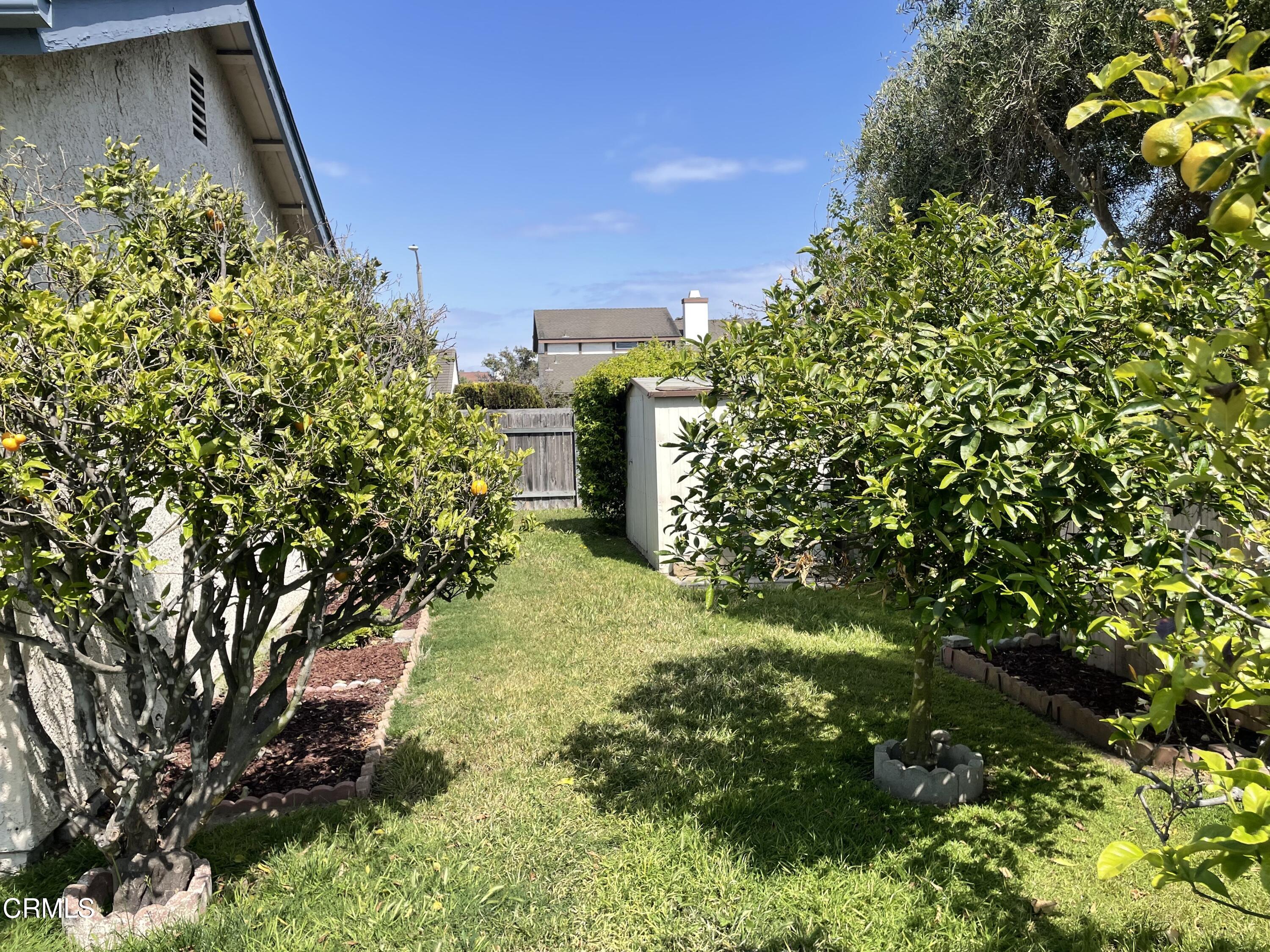 1711 Masthead Drive Oxnard, CA 93035 - Photo 19 of 28 a backyard of a house with lots of green space