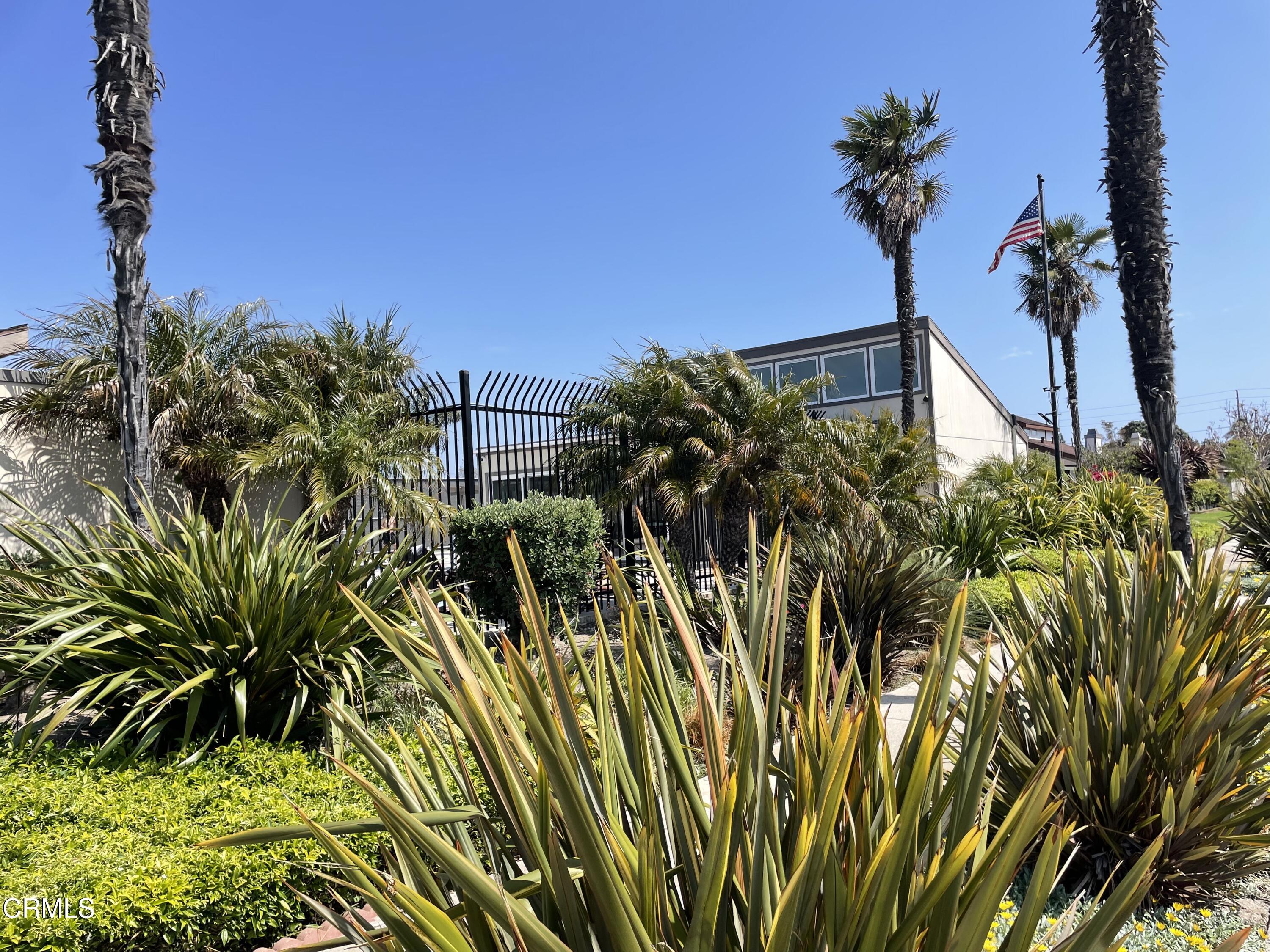 1711 Masthead Drive Oxnard, CA 93035 - Photo 21 of 28 a view of a palm plant from a yard