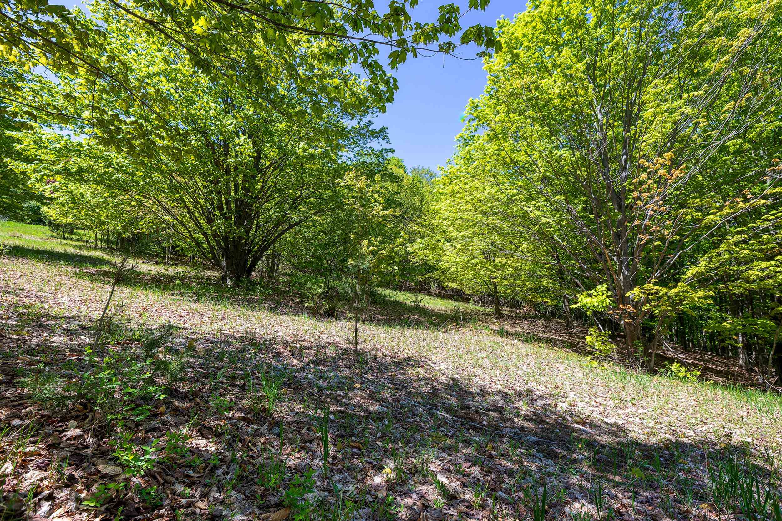 3100 Warren Road Beulah, MI 49617 - Photo 5 of 16