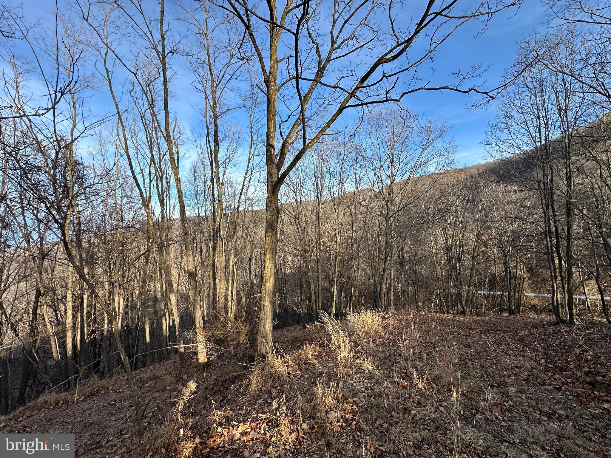 333 Nathaniel Mountain Road Moorefield, WV 26836 - Photo 30 of 65