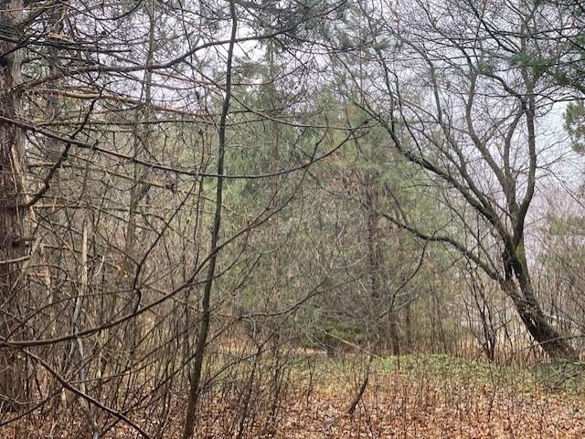 Lot 2 Sideline Road Wausau, WI 54403 - Photo 6 of 7
