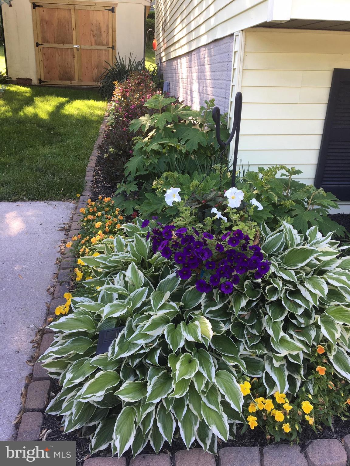 330 Royer Road Westminster, MD 21158 - Photo 47 of 57 2018 Summer, beautiful perennials