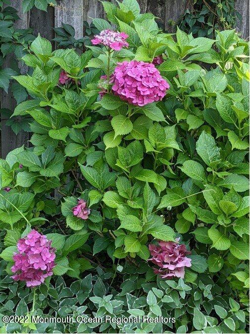 96 Canis Drive Brick, NJ 08724 - Photo 34 of 47 034_af543df23f304a20b315e2da9f835c06