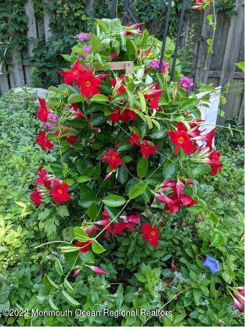 96 Canis Drive Brick, NJ 08724 - Photo 35 of 47 035_deba52228c6047cbba5b568ac066e1da