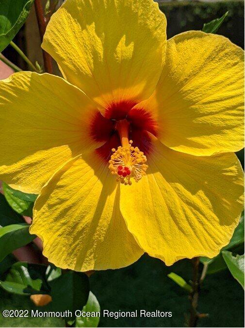 96 Canis Drive Brick, NJ 08724 - Photo 45 of 47 045_bcc88e39912343d2b51bc78257c9cf2a