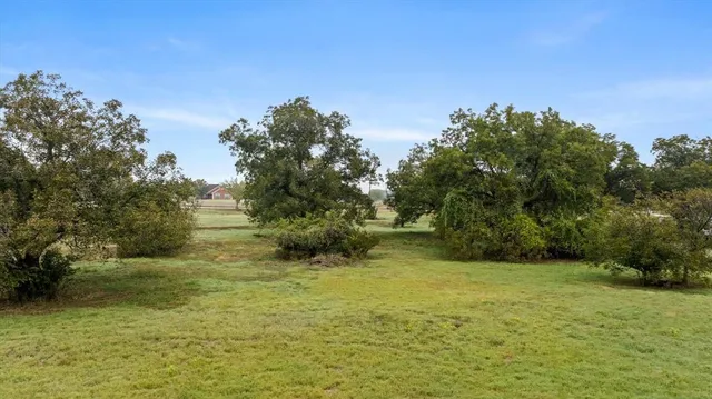 a view of a lake from a yard