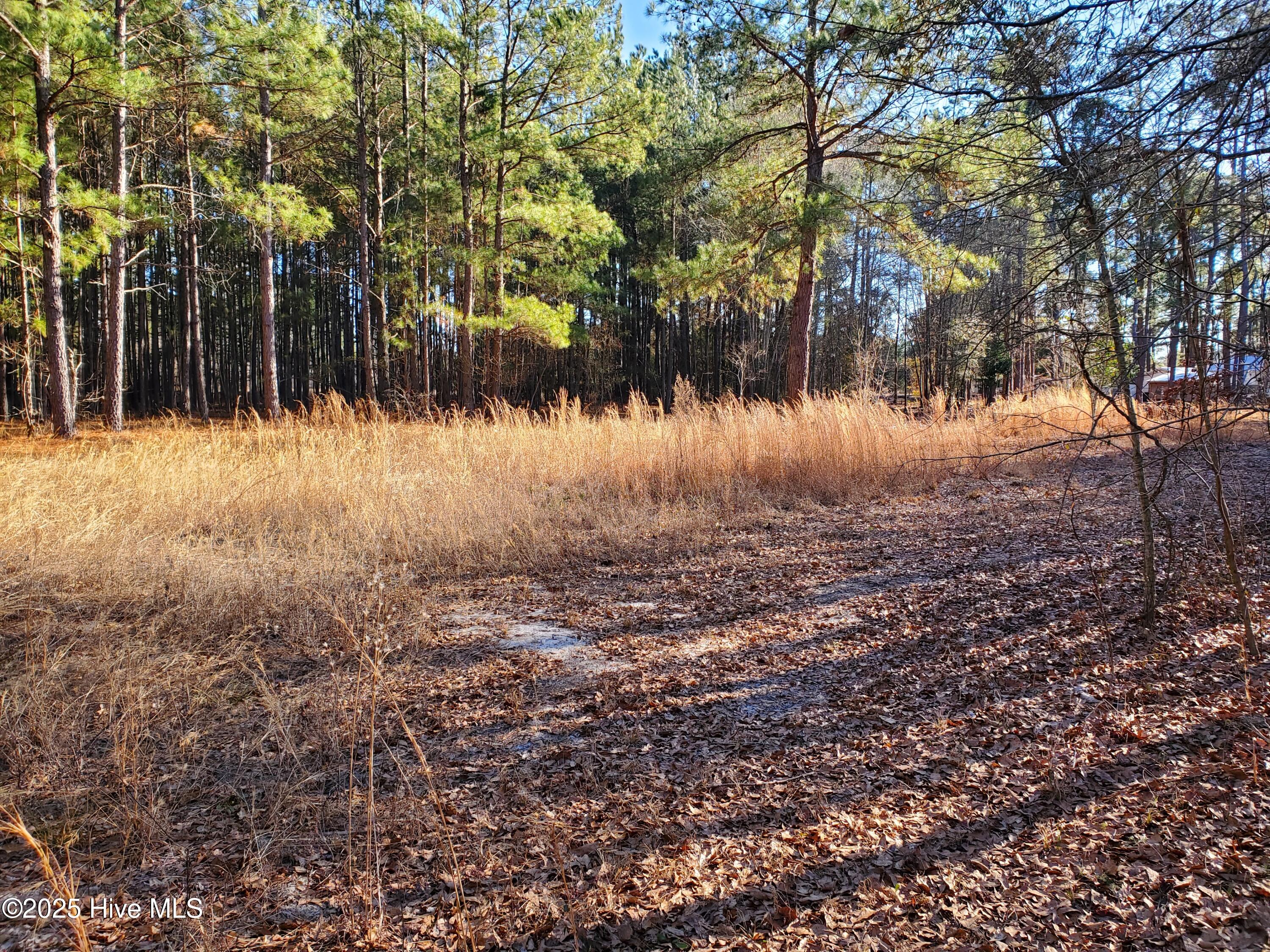Tbd Crestline Road Laurinburg, NC 28352 - Photo 2 of 11 2
