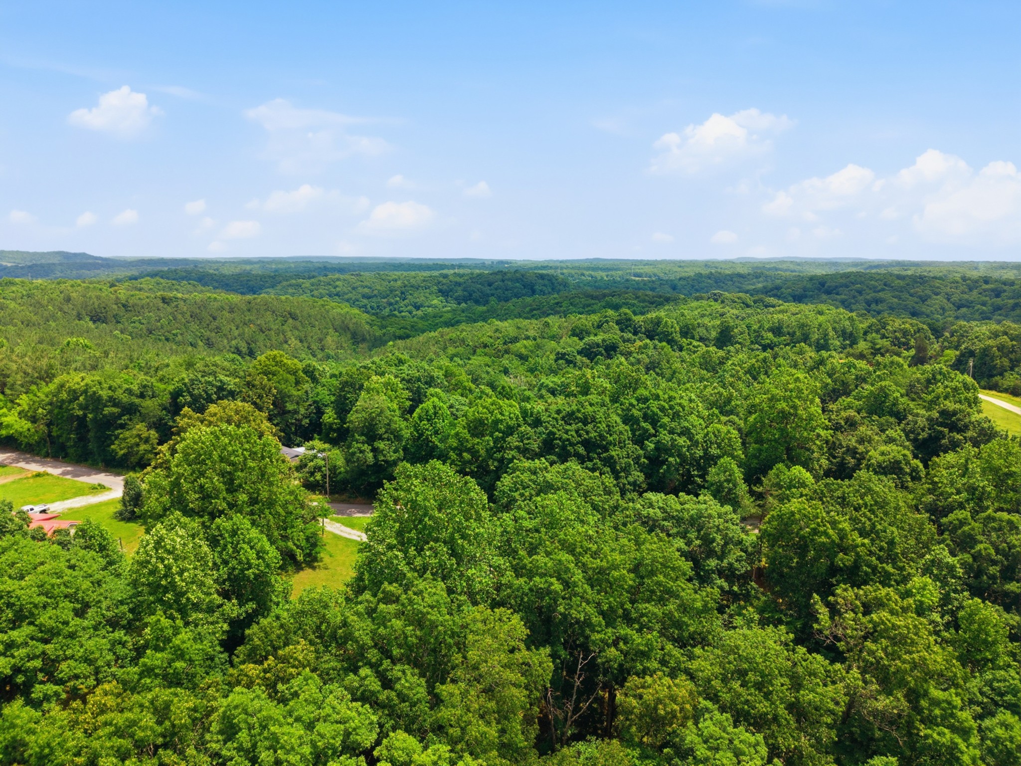 8836 West Sheepneck Road Mount Pleasant, TN 38474 - Photo 38 of 39