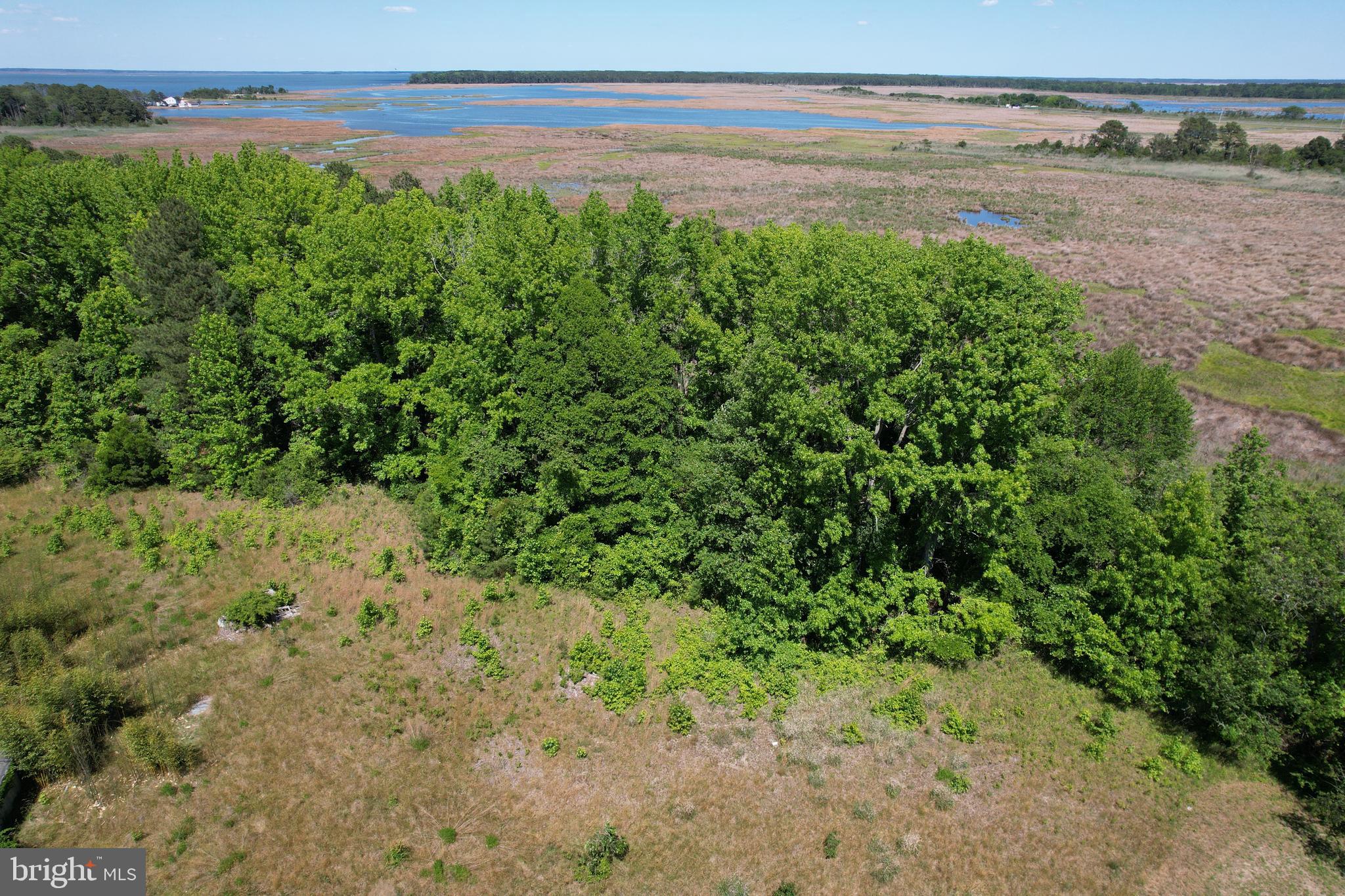 228 Fishhook Lane Deal Island, MD 21821 - Photo 8 of 10