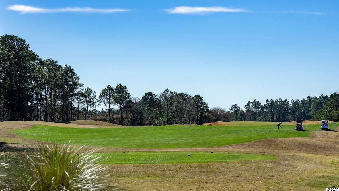 232 Legends Village Loop Myrtle Beach, SC 29579 - Photo 28 of 40 Gallery Image 28