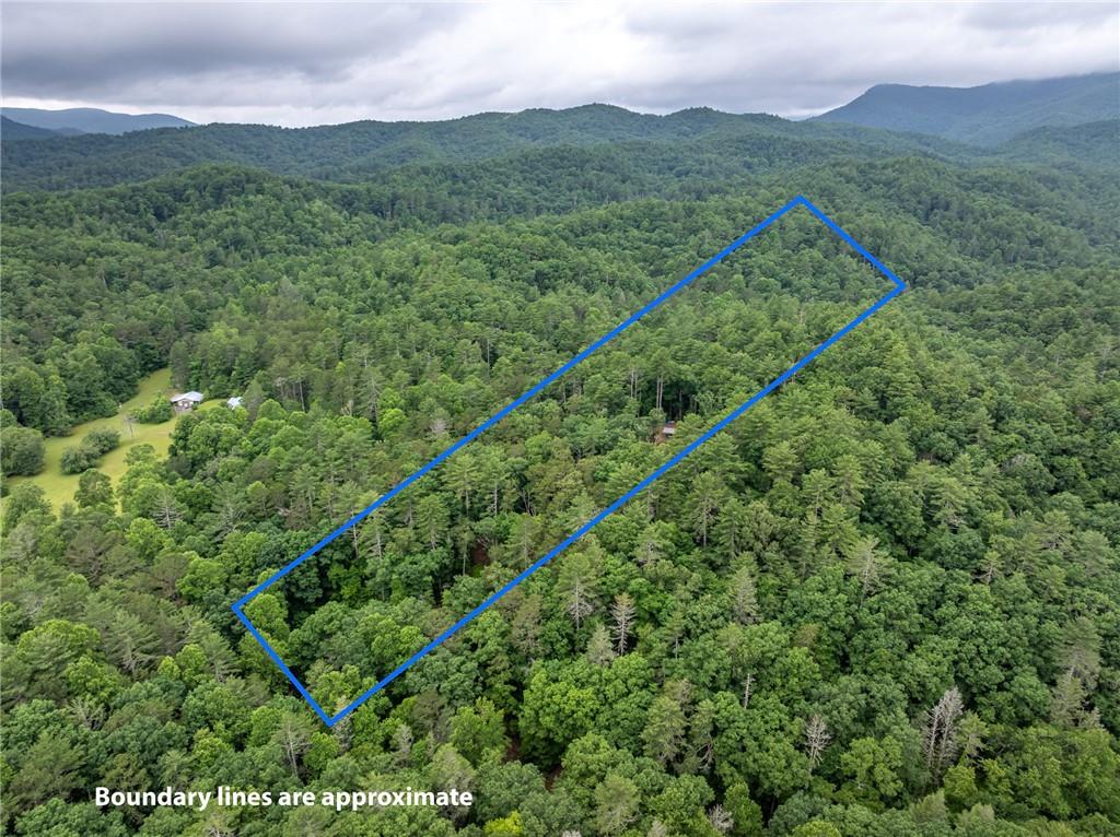5846 Gates Chapel Road Ellijay, GA 30540 - Photo 12 of 17