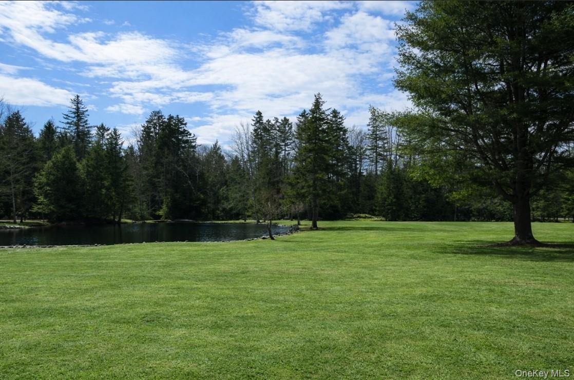 698 Cooley Road Parksville, NY 12768 - Photo 5 of 15