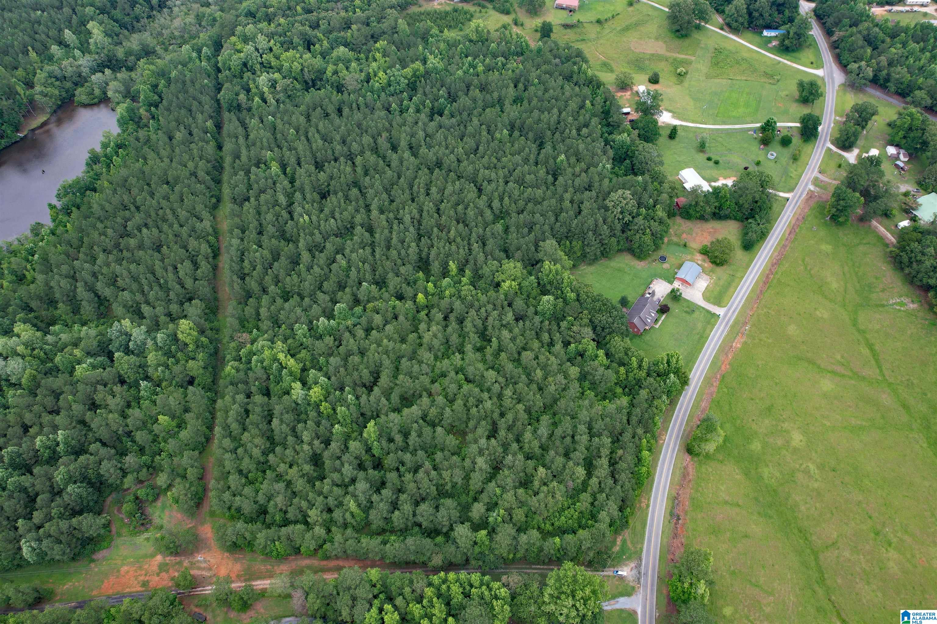 0 Houston Road Sylacauga, AL 35151 - Photo 27 of 32