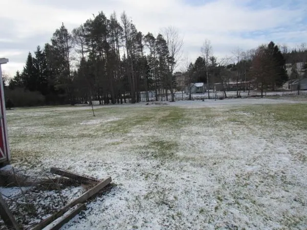 a view of a dry yard