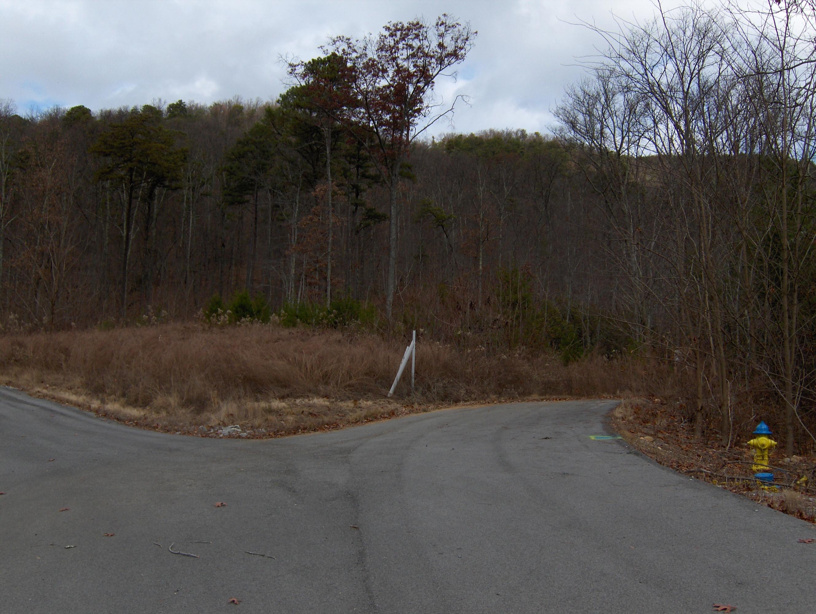 Brook View Trail Pigeon Forge, TN 37862 - Photo 1 of 6 Two Lots for One $