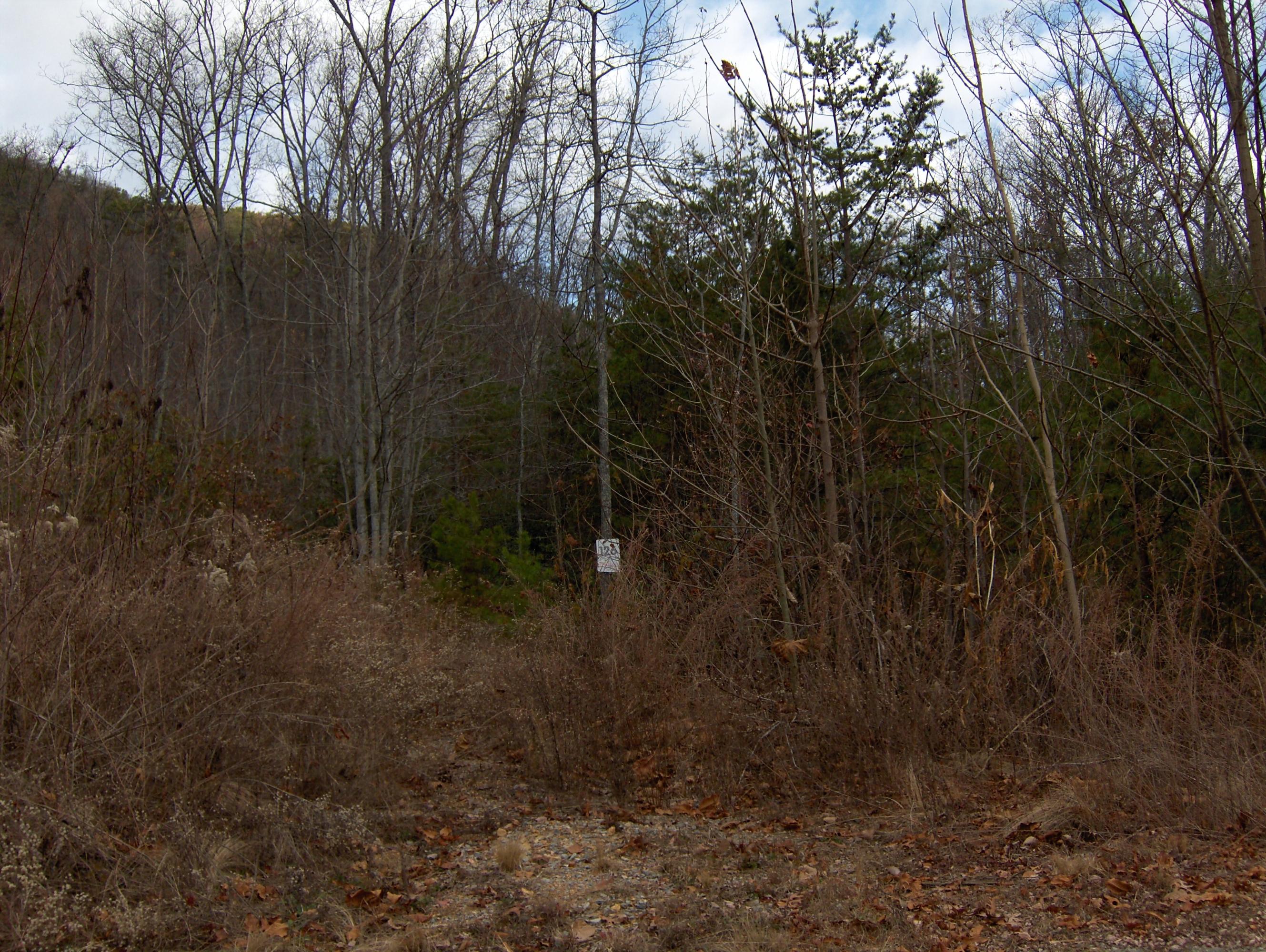 Brook View Trail Pigeon Forge, TN 37862 - Photo 2 of 6 Lot 126 and 127