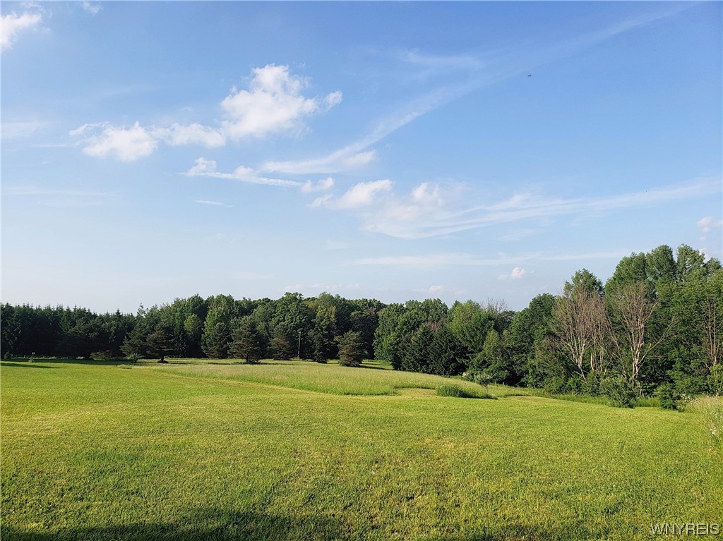 9433 Forty Road Otto, NY 14719 - Photo 2 of 10