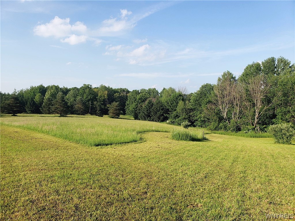 9433 Forty Road Otto, NY 14719 - Photo 3 of 10