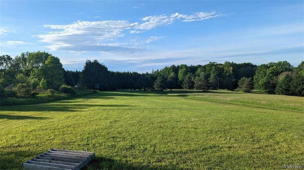 9433 Forty Road Otto, NY 14719 - Photo 4 of 10