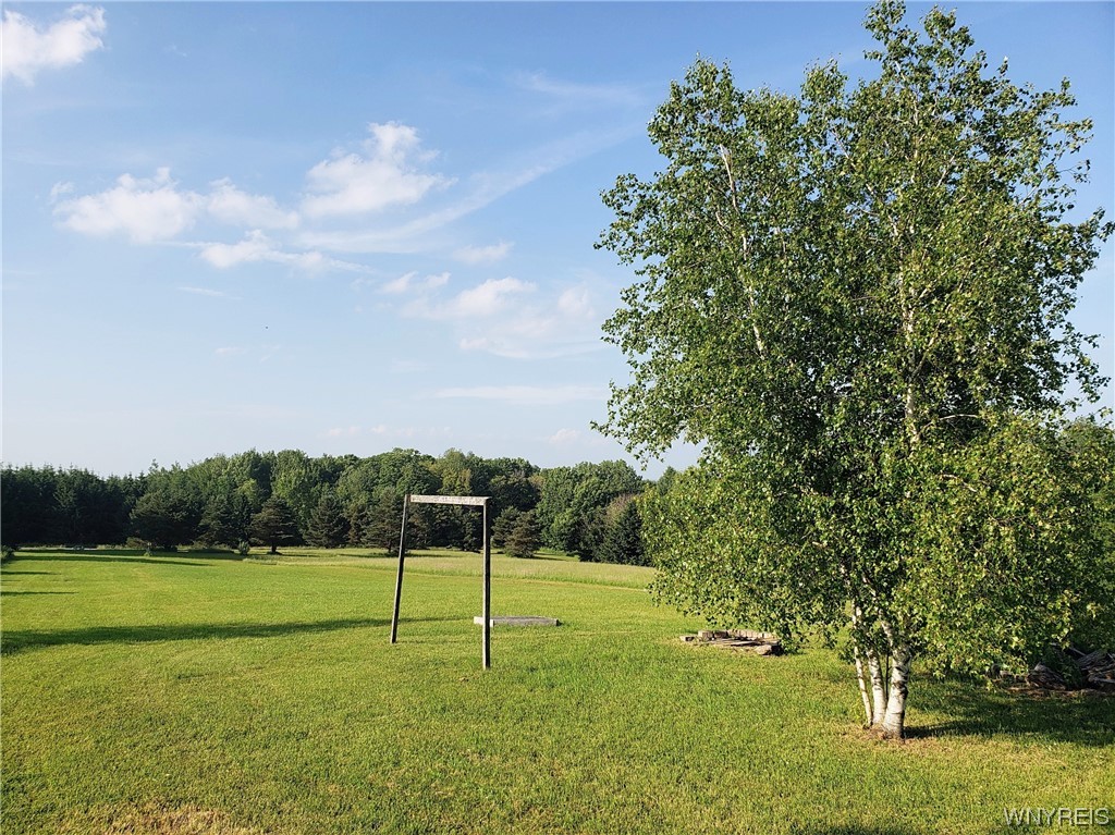 9433 Forty Road Otto, NY 14719 - Photo 9 of 10