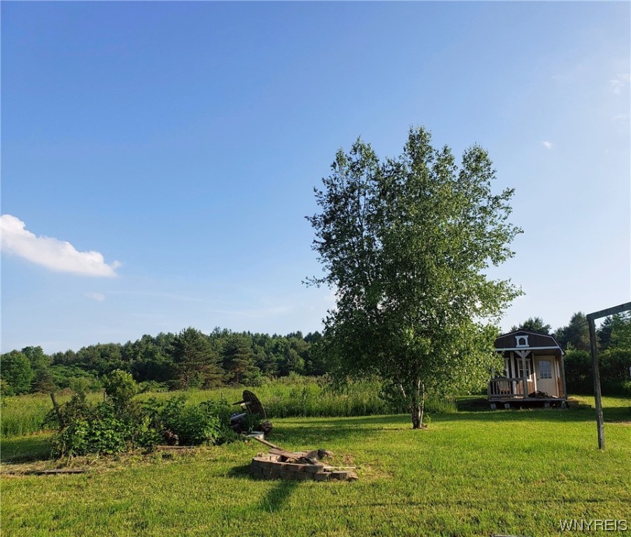 9433 Forty Road Otto, NY 14719 - Photo 10 of 10