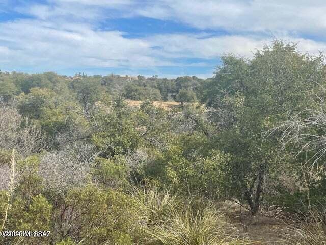 0 North Robles Road Oracle, AZ 85623 - Photo 4 of 6