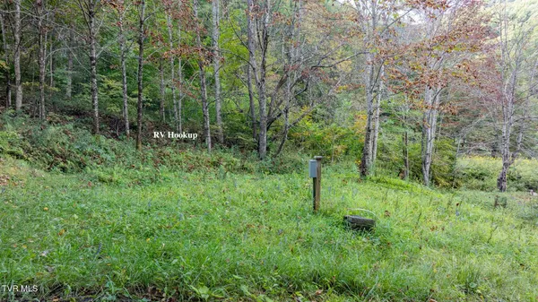 $300,000 | 4966 Old Asheville Highway, Flag Pond, TN 37657