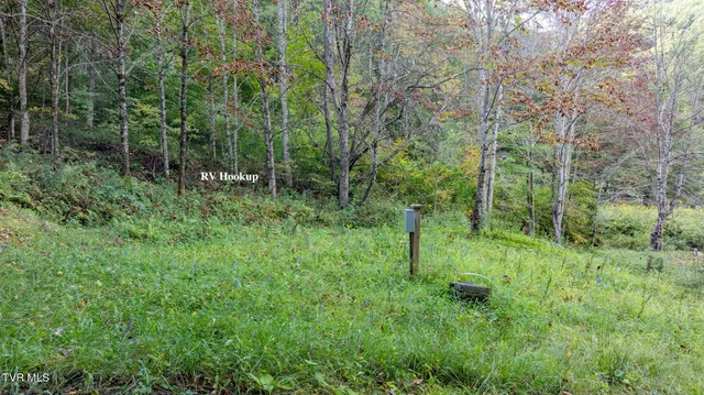 $300,000 | 4966 Old Asheville Highway, Flag Pond, TN 37657