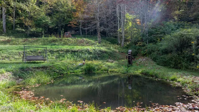 $300,000 | 4966 Old Asheville Highway, Flag Pond, TN 37657