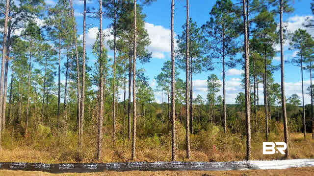 26343 Rosedown Lane Daphne, AL 36526 - Photo 4 of 16 Beautiful Homesites!