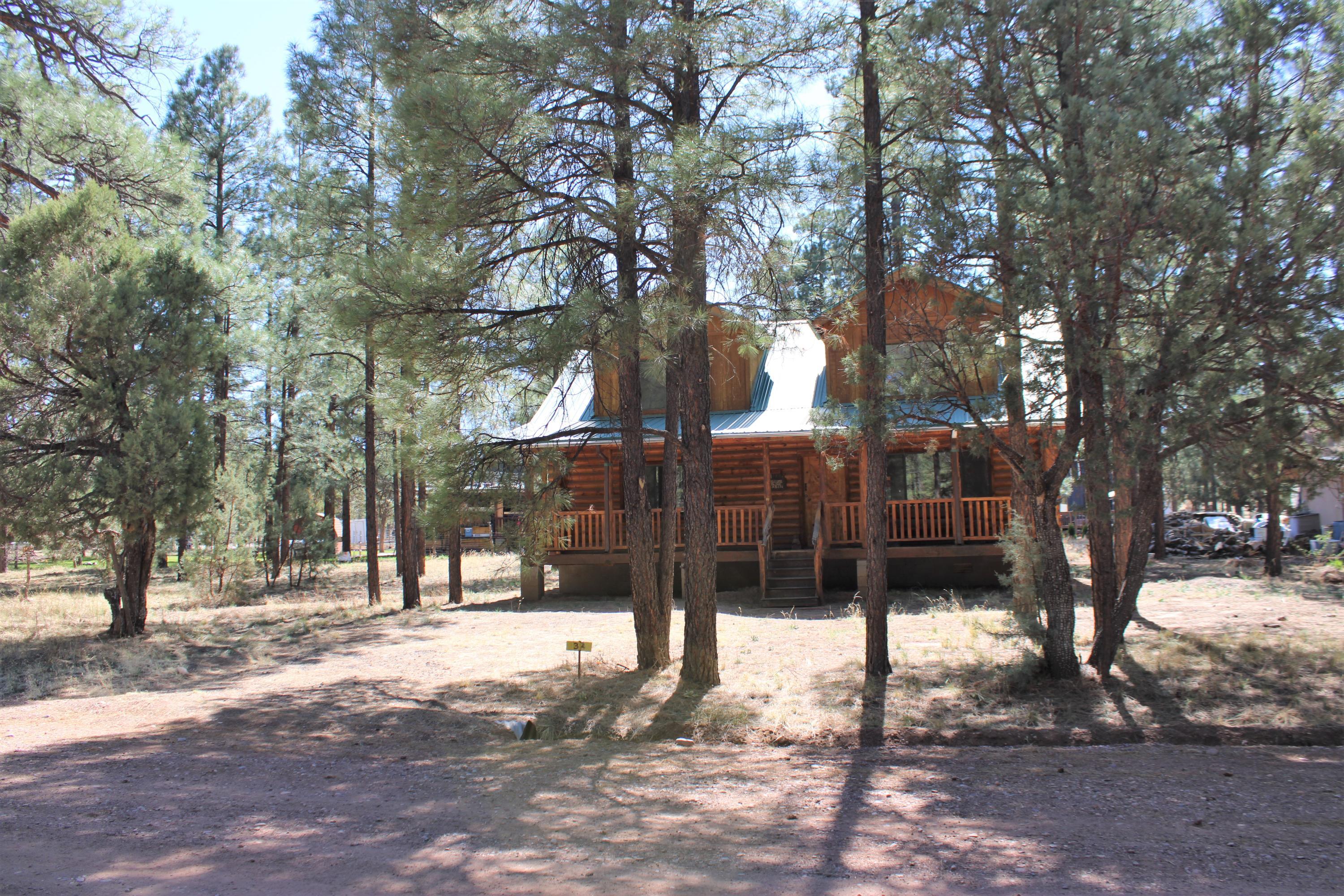 2836 Timber Trail Loop Overgaard, AZ 85933 - Photo 2 of 39